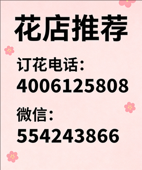 鹤壁淇县花店哪家好