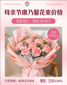 鹤壁淇县花店母亲节康乃馨花束