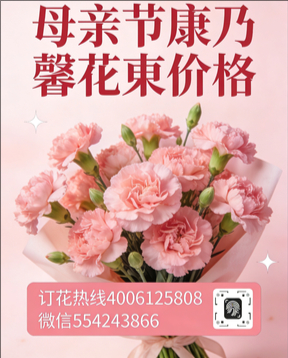 鹤壁淇县花店母亲节康乃馨花束